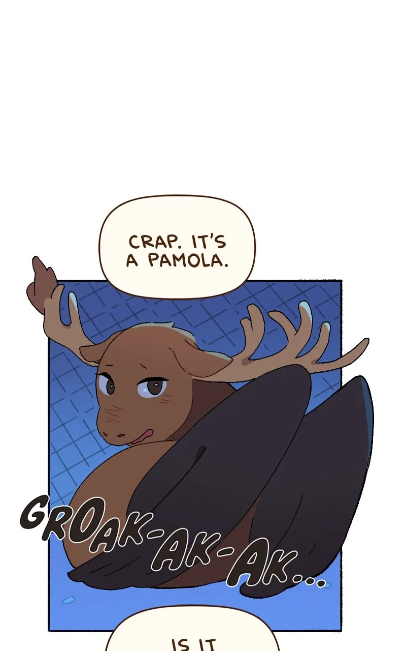 Little Hollow Café Chapter 51 page 13 - 