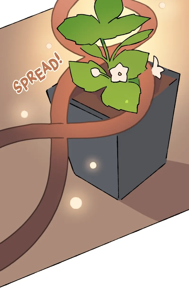 Little Hollow Café Chapter 8 page 49 - 