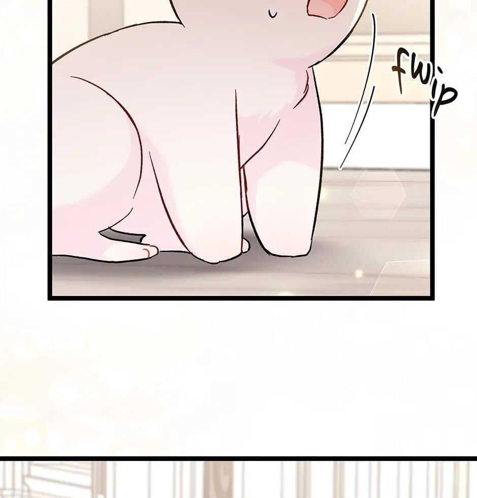 Little Rabbit and the Big Bad Leopard Chapter 101 page 89 - 