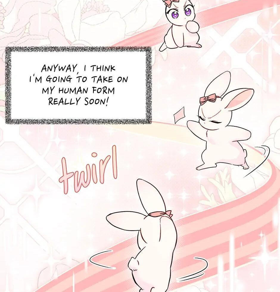 Little Rabbit and the Big Bad Leopard Chapter 101 page 94 - 