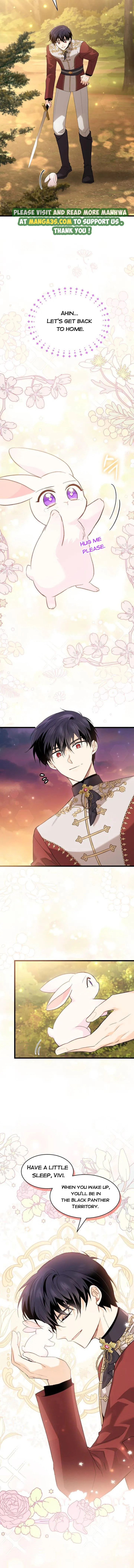 Little Rabbit and the Big Bad Leopard Chapter 81.5 page 8 - 