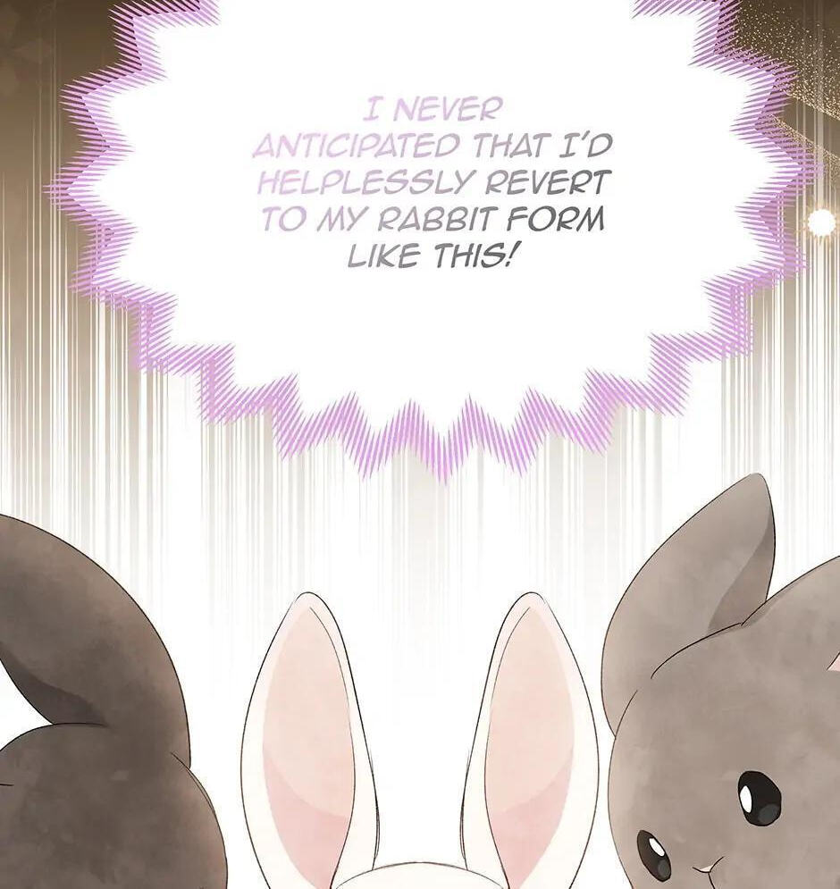 Little Rabbit and the Big Bad Leopard Chapter 82 page 13 - 