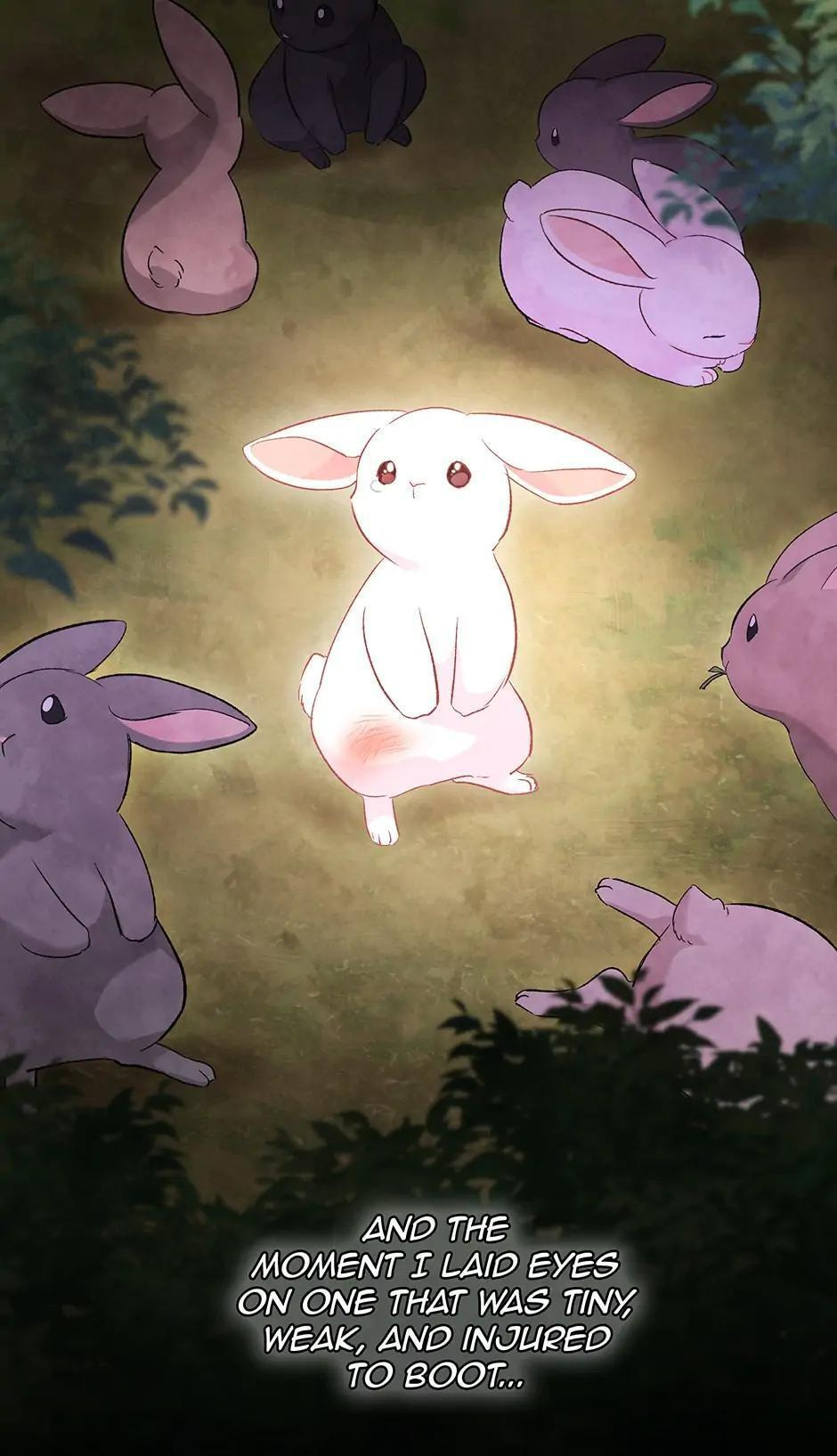 Little Rabbit and the Big Bad Leopard Chapter 82 page 3 - 
