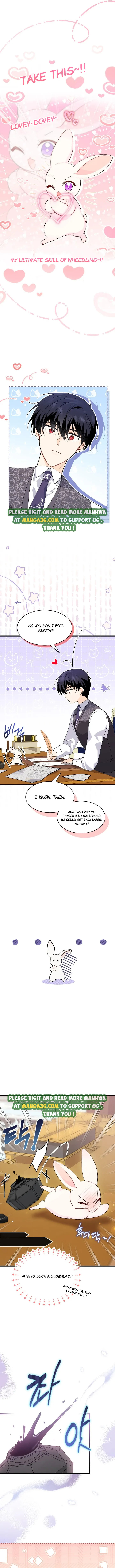 Little Rabbit and the Big Bad Leopard Chapter 83.5 page 2 - 