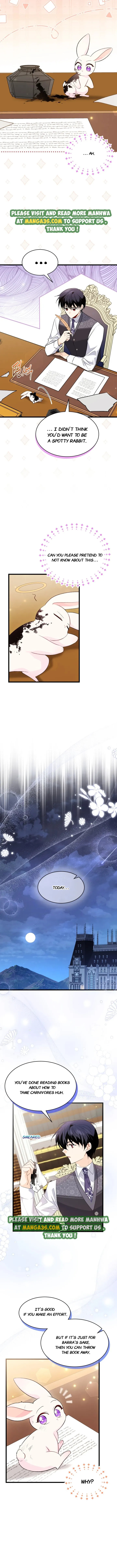 Little Rabbit and the Big Bad Leopard Chapter 83.5 page 3 - 