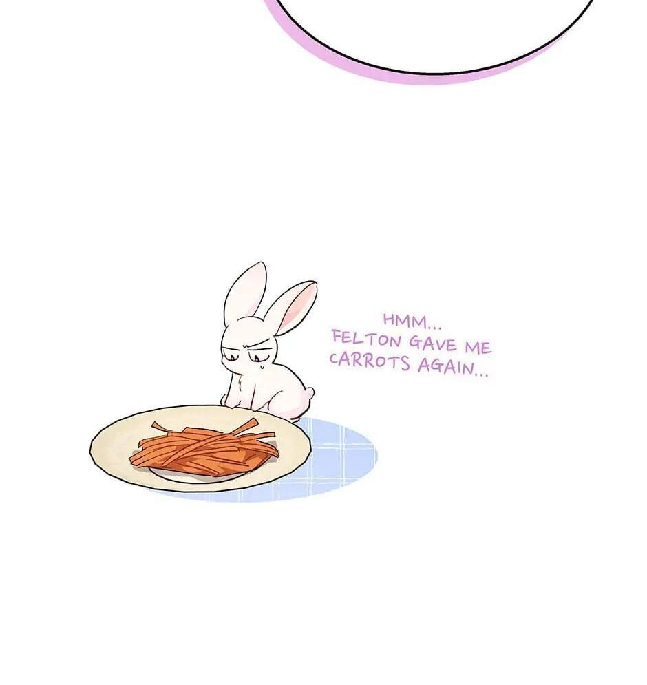 Little Rabbit and the Big Bad Leopard Chapter 85 page 82 - 