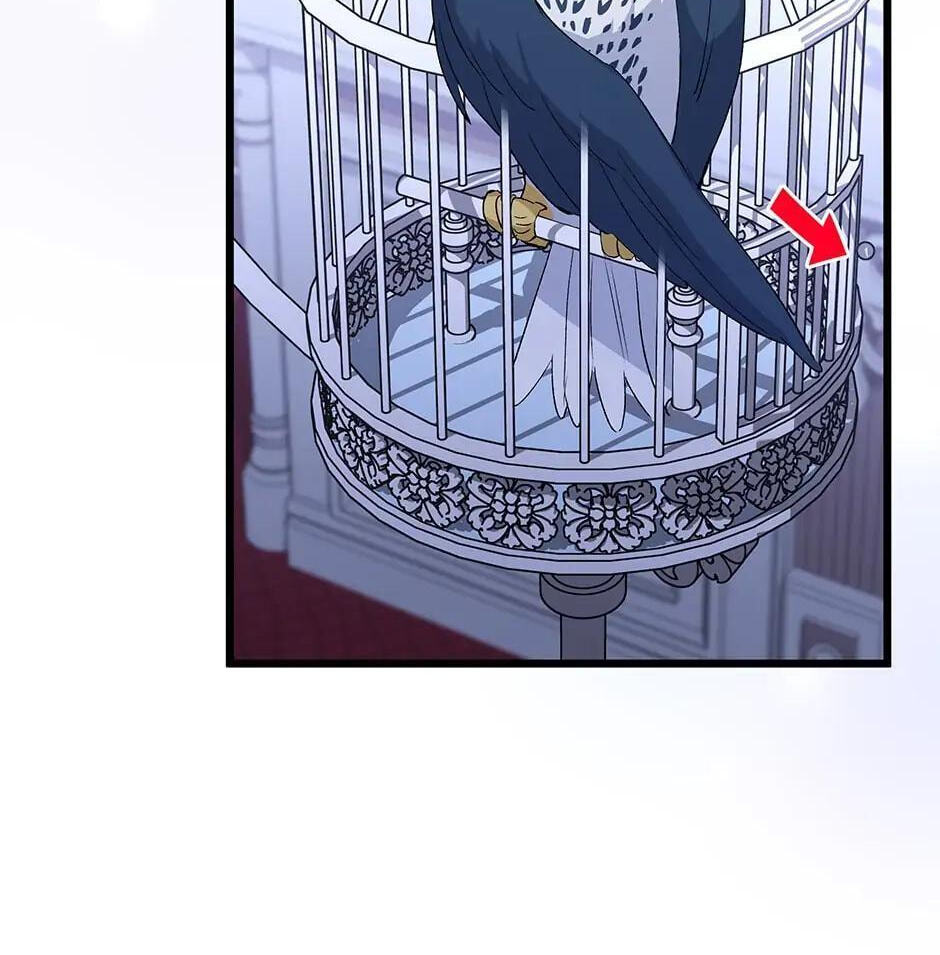 Little Rabbit and the Big Bad Leopard Chapter 87 page 13 - 