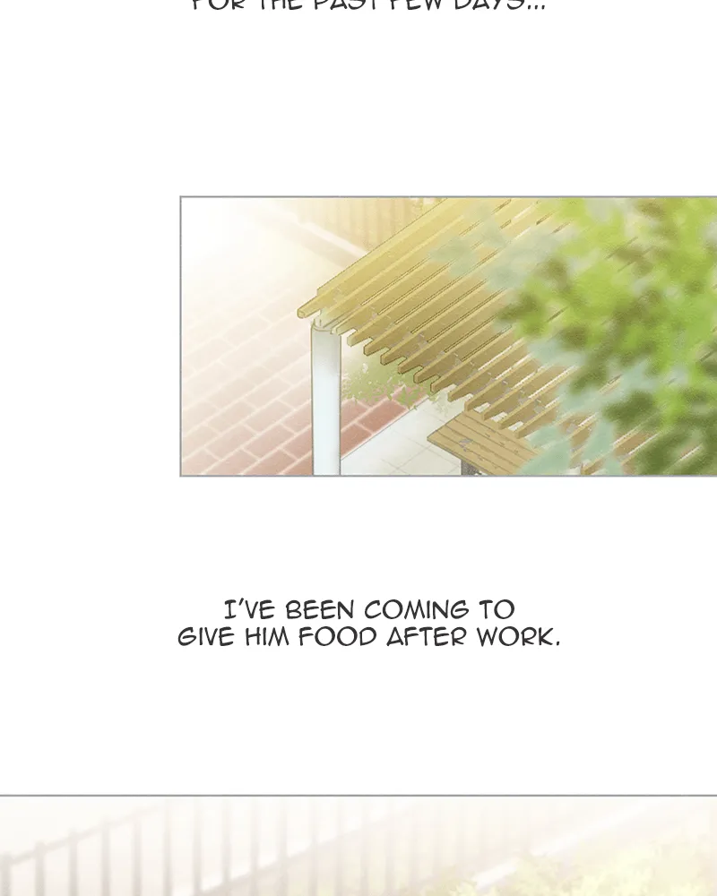 Little Rain Chapter 1 page 41 - 