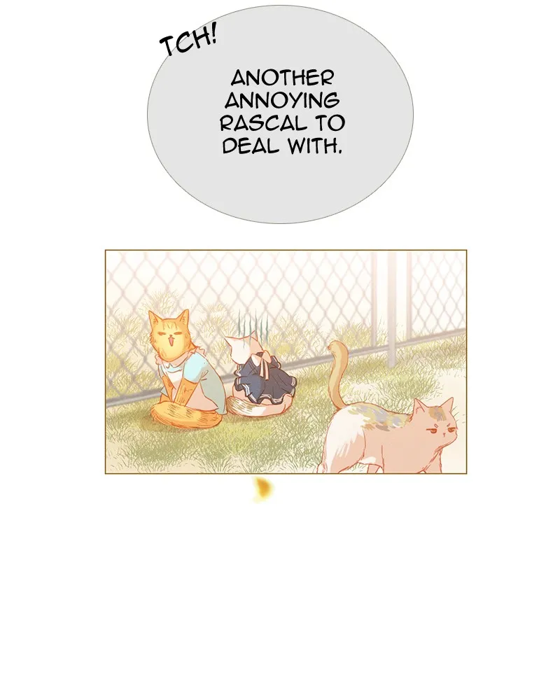 Little Rain Chapter 10 page 36 - 