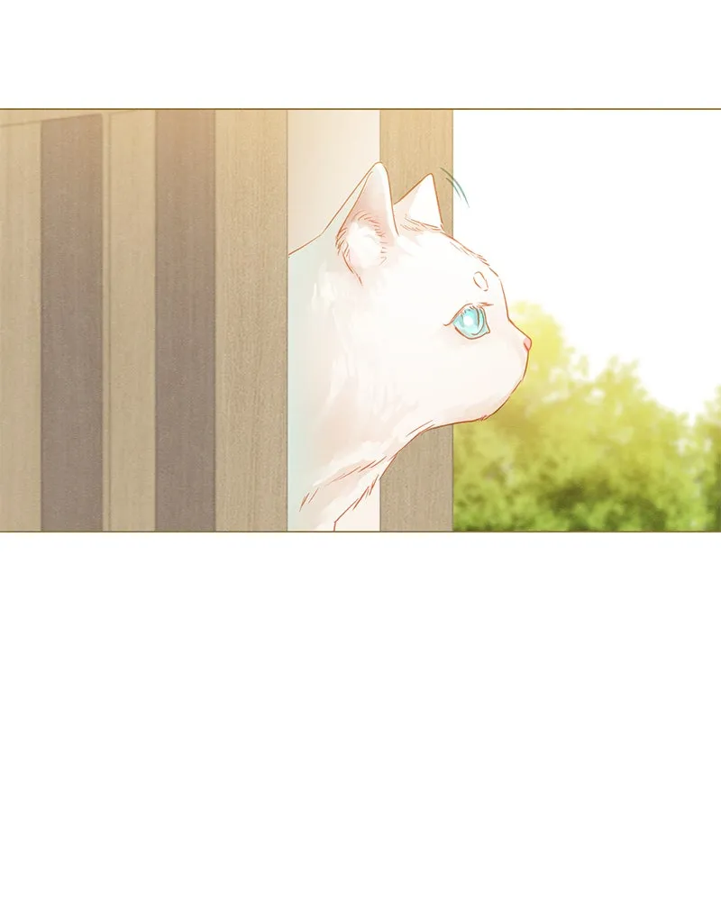 Little Rain Chapter 15 page 50 - 