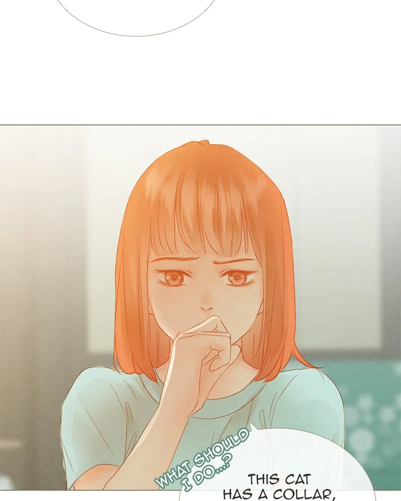 Little Rain Chapter 16 page 52 - 