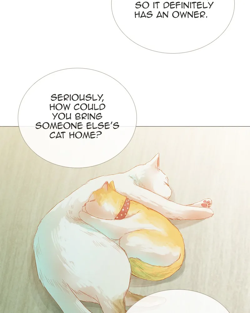 Little Rain Chapter 16 page 53 - 