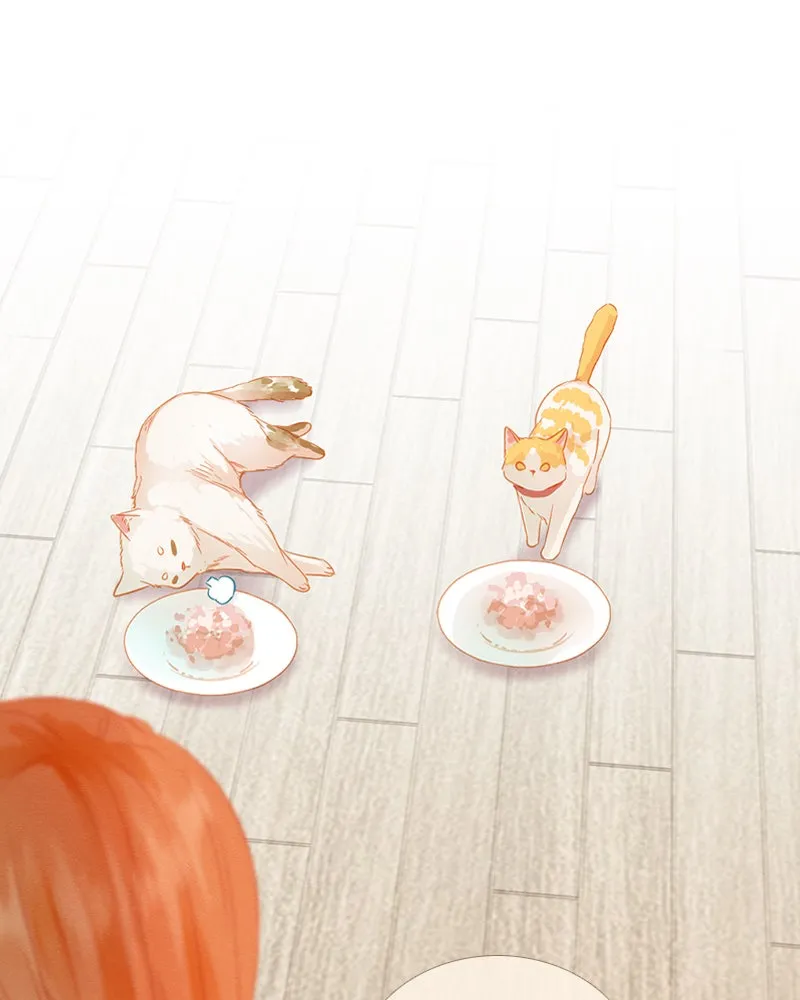 Little Rain Chapter 17 page 37 - 