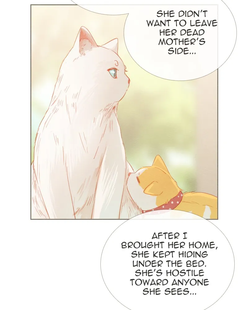 Little Rain Chapter 17 page 65 - 