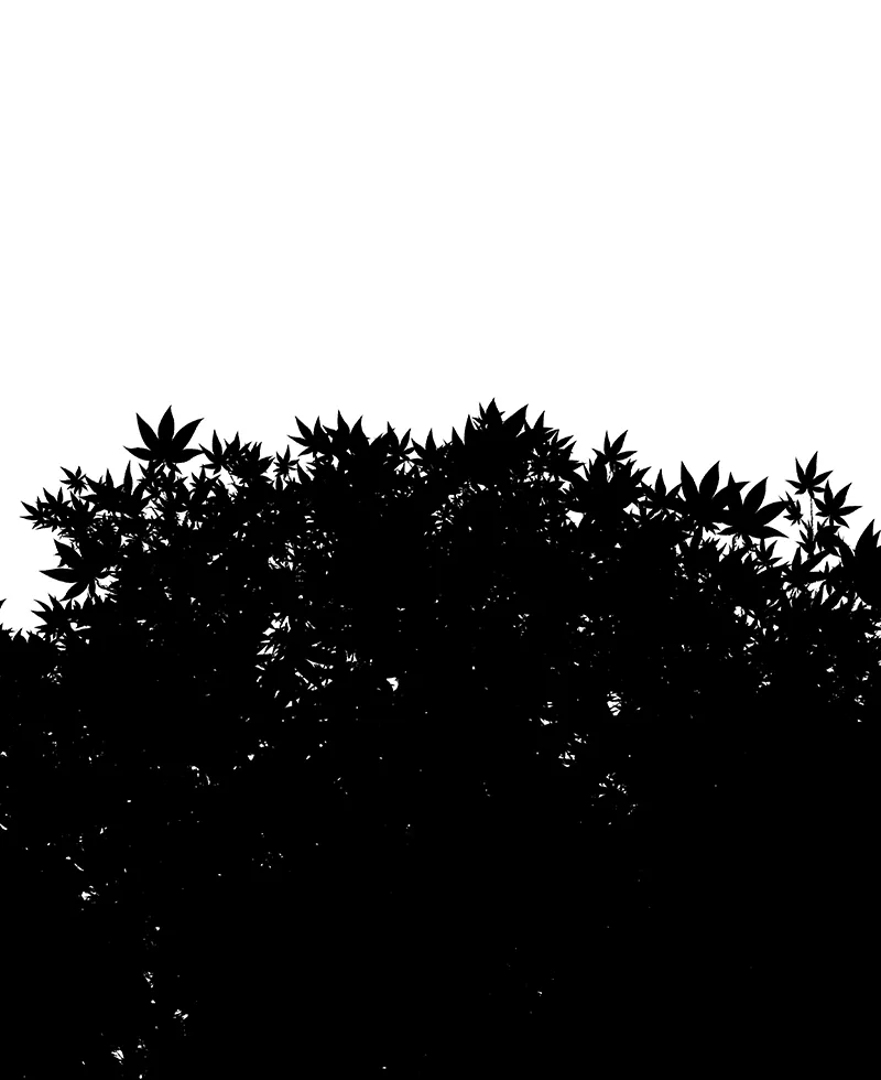 Live Forever Chapter 13 page 1 - 