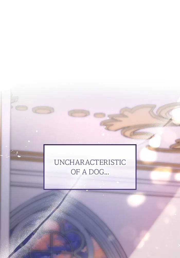 Locked Up by My Mad Dog Chapter 19 page 105 - 