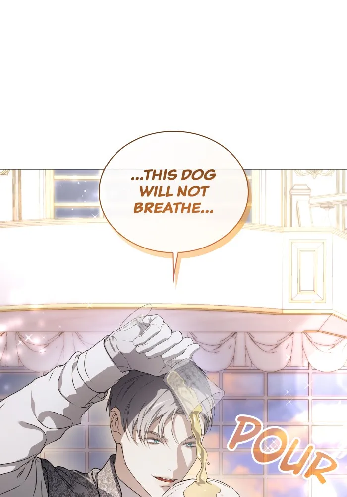 Locked Up by My Mad Dog Chapter 20 page 34 - 