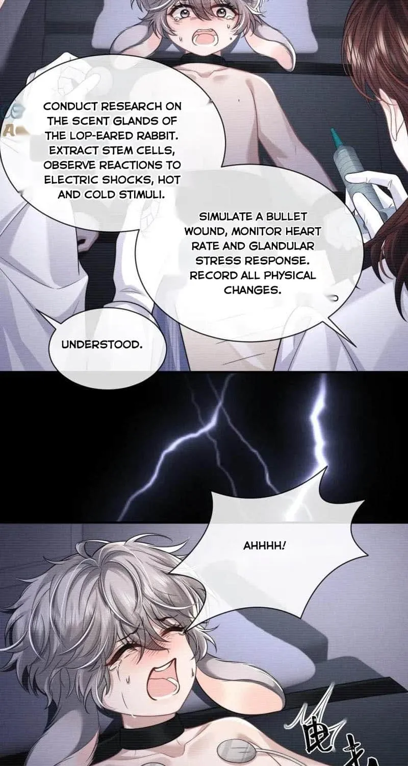 Lop-Eared Guard Chapter 161 page 5 - 