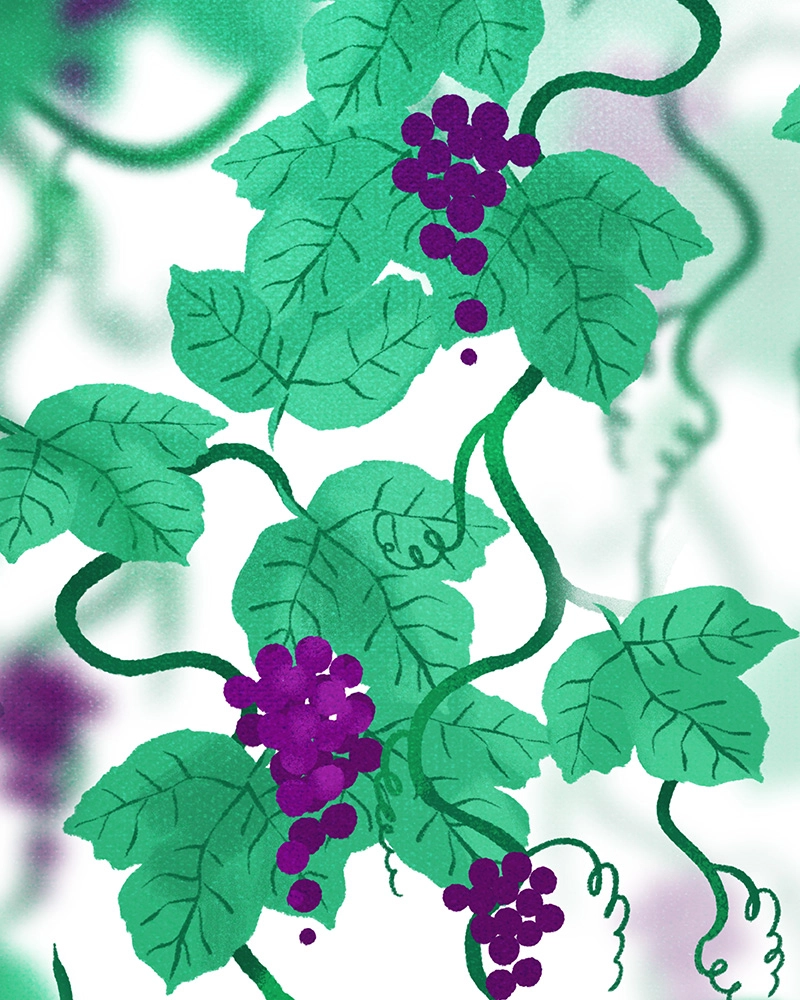 Lore Olympus Chapter 272 page 157 - 