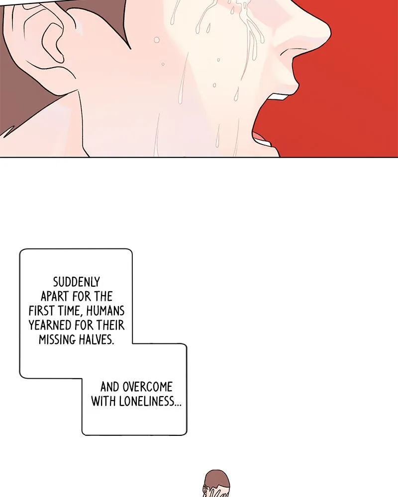 Love Falls Like Rain Chapter 1 page 15 - 
