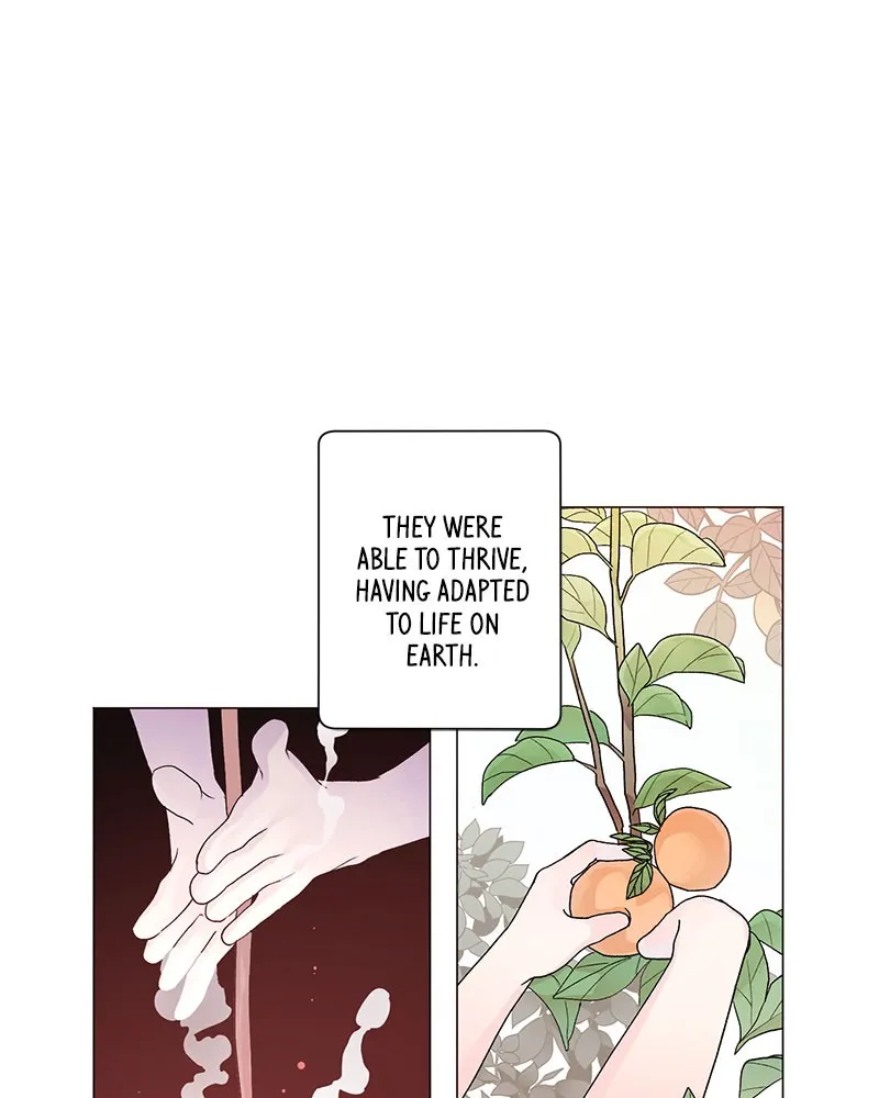 Love Falls Like Rain Chapter 1 page 10 - 