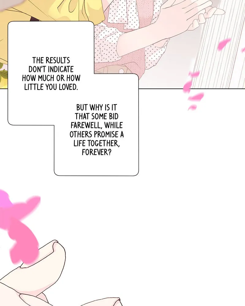 Love Falls Like Rain Chapter 2 page 6 - 