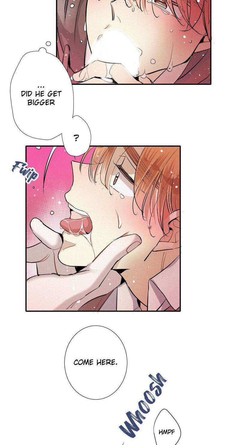 Love Is in the Heir Chapter 89 page 5 - 