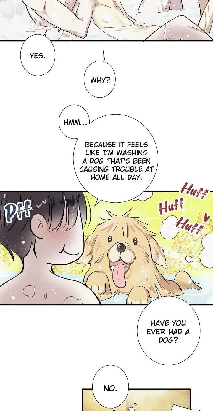 Love Is in the Heir Chapter 95 page 35 - 