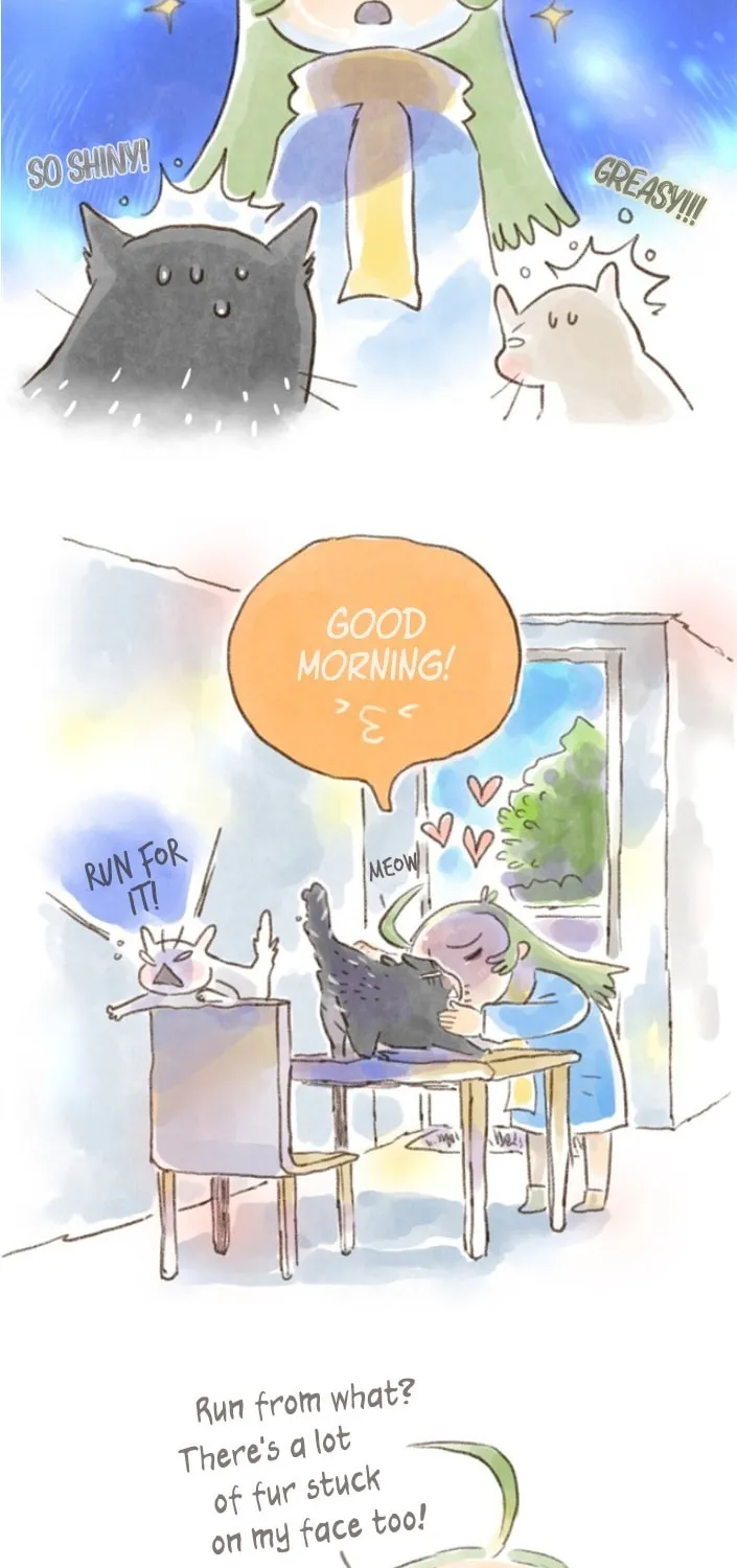 Love My Cat Chapter 13 page 2 - 