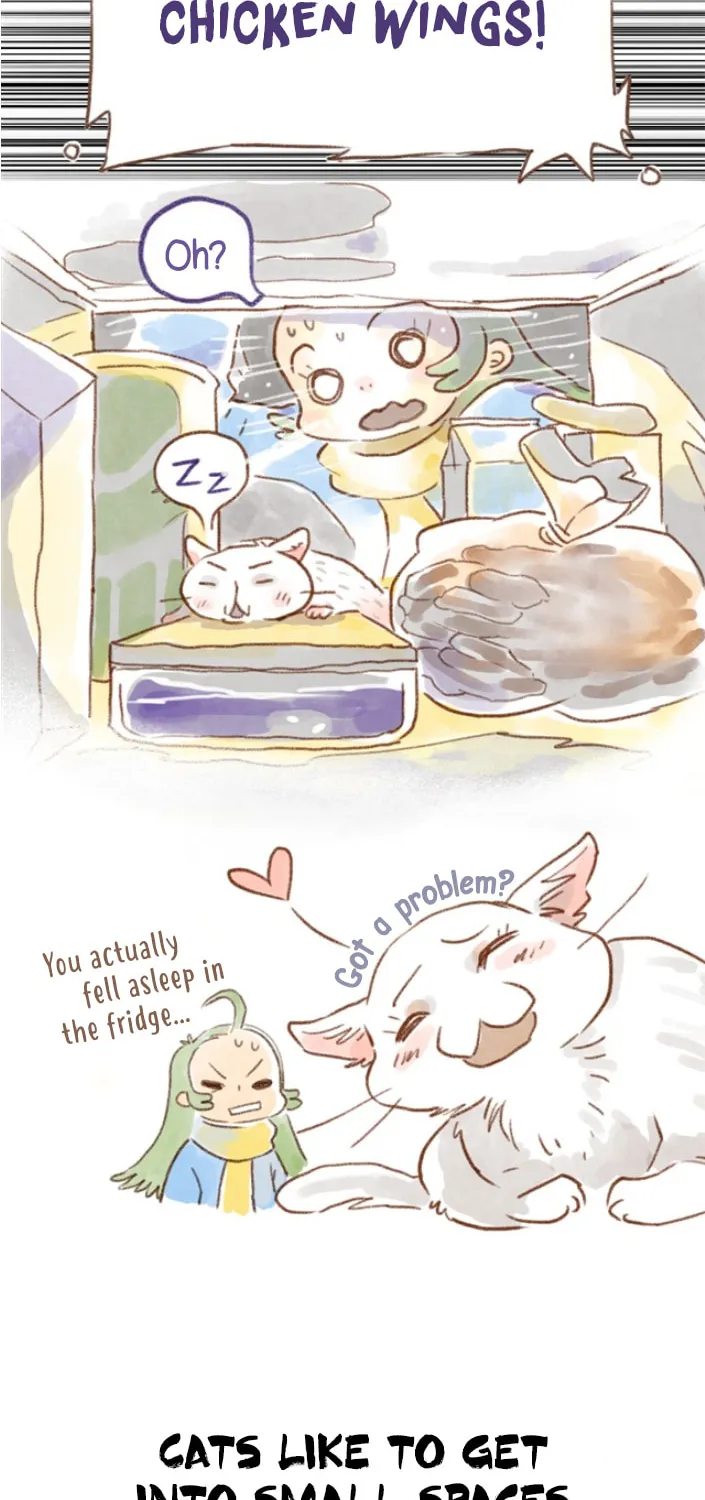 Love My Cat Chapter 16 page 4 - 