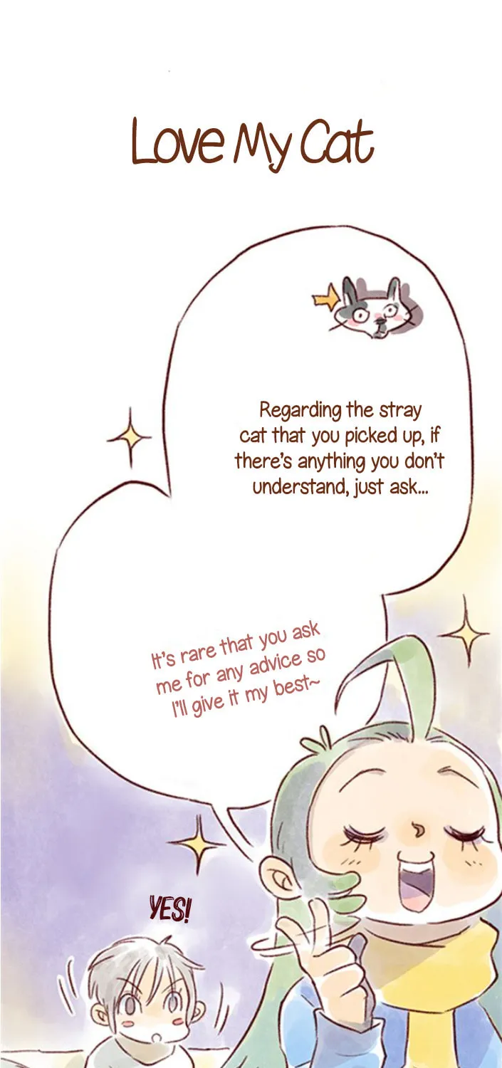 Love My Cat Chapter 21 page 1 - 