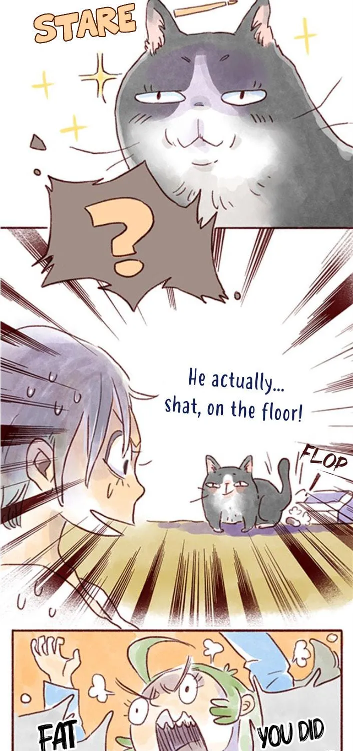 Love My Cat Chapter 21 page 11 - 
