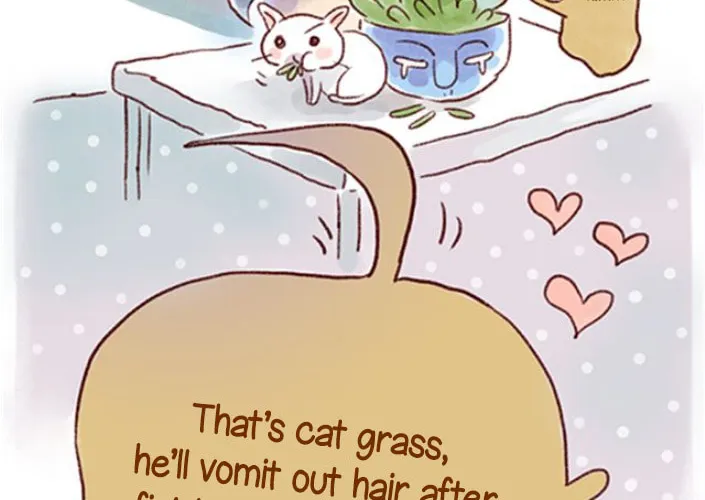 Love My Cat Chapter 21 page 4 - 