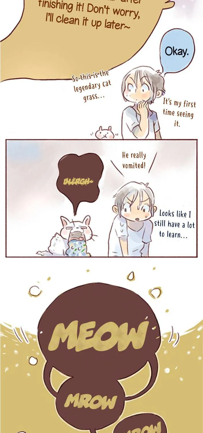 Love My Cat Chapter 21 page 5 - 