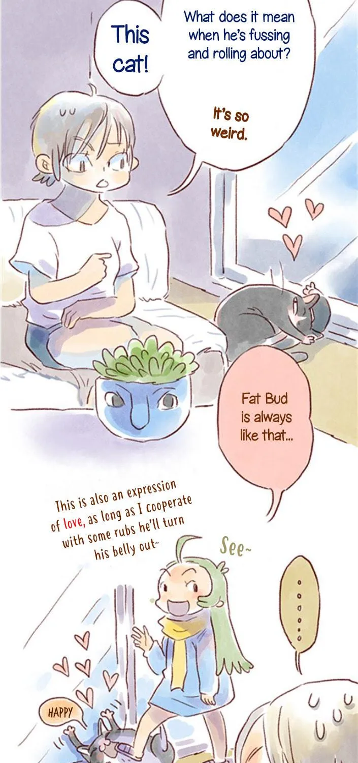 Love My Cat Chapter 21 page 9 - 