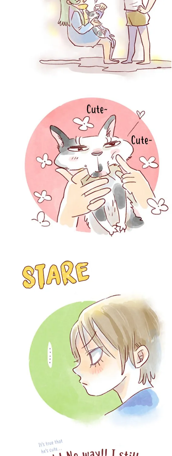 Love My Cat Chapter 23 page 4 - 