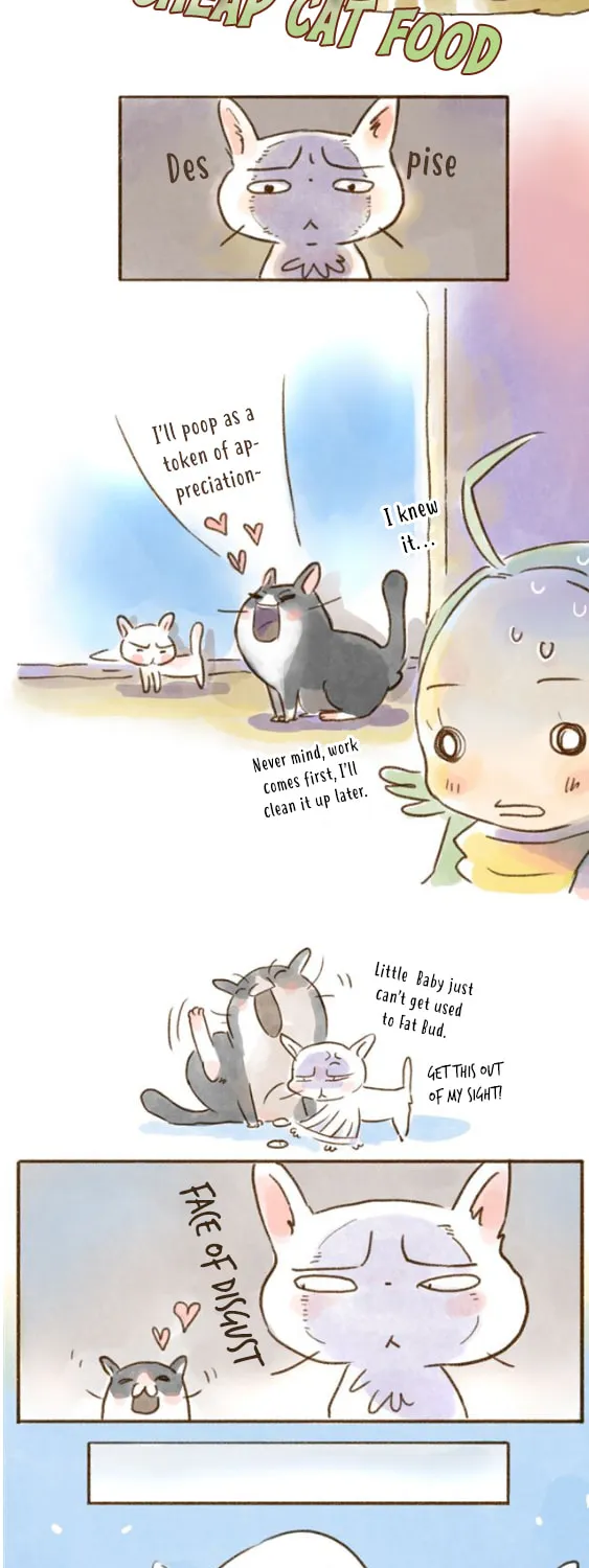 Love My Cat Chapter 24 page 3 - 