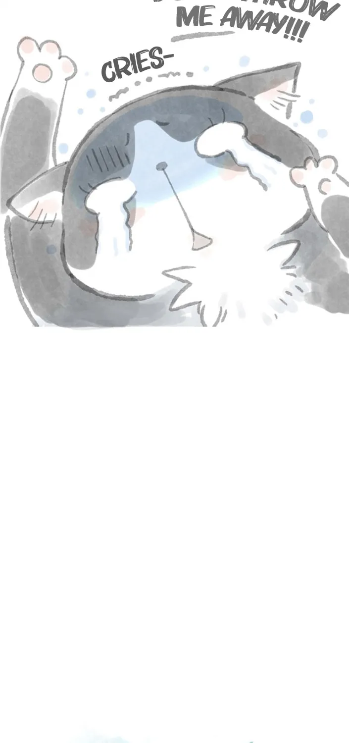 Love My Cat Chapter 3 page 4 - 