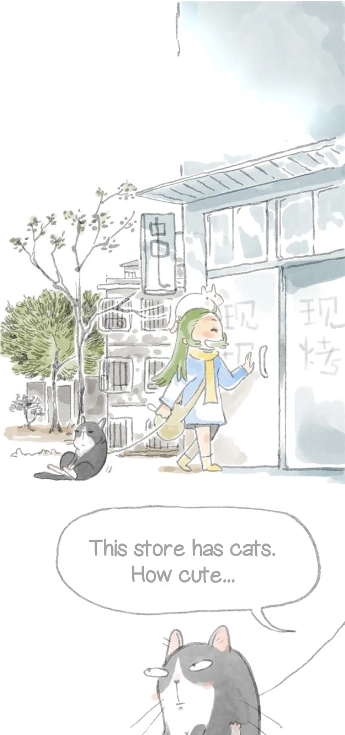 Love My Cat Chapter 4 page 1 - 