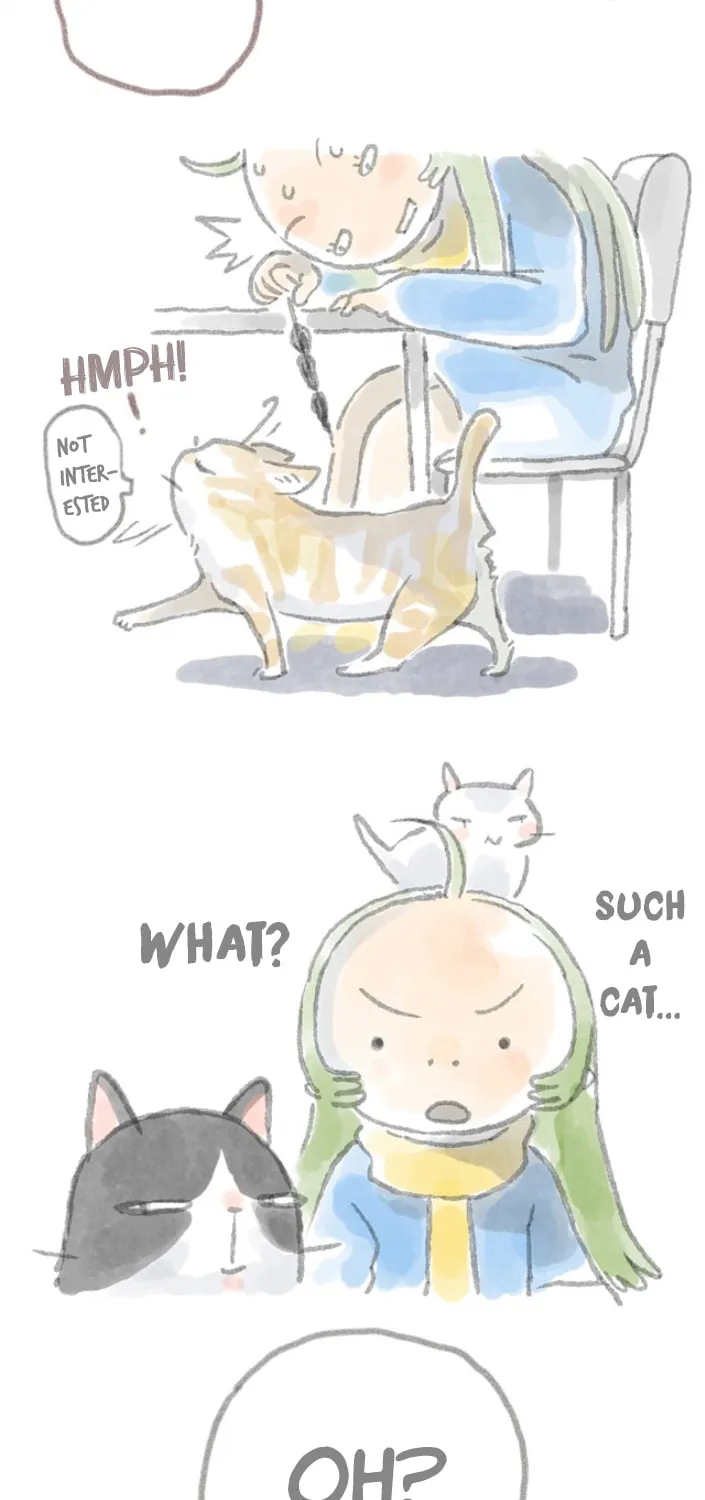 Love My Cat Chapter 4 page 5 - 