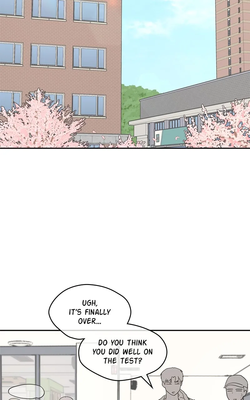Love or Attraction Chapter 17 page 79 - 