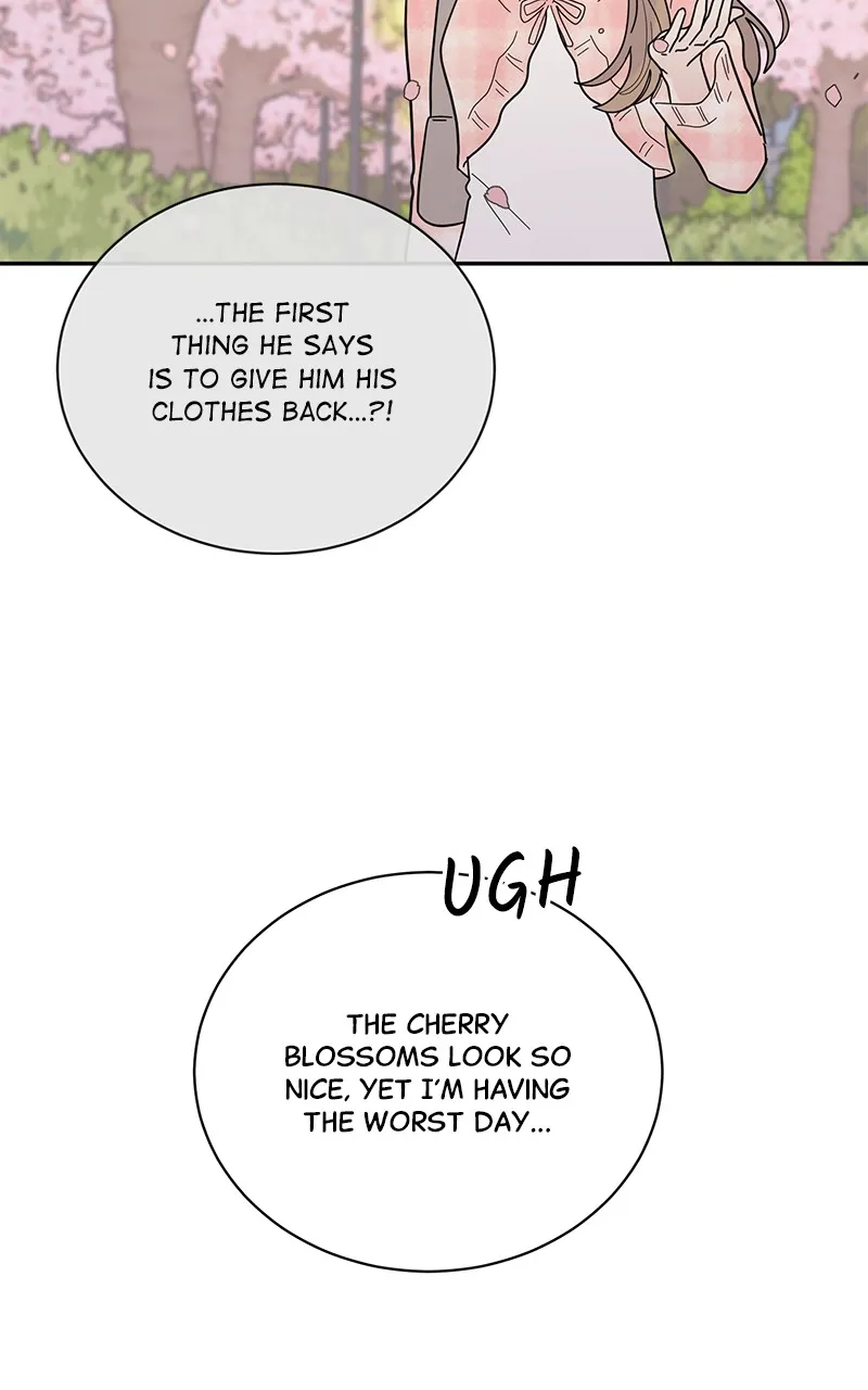Love or Attraction Chapter 19 page 55 - 