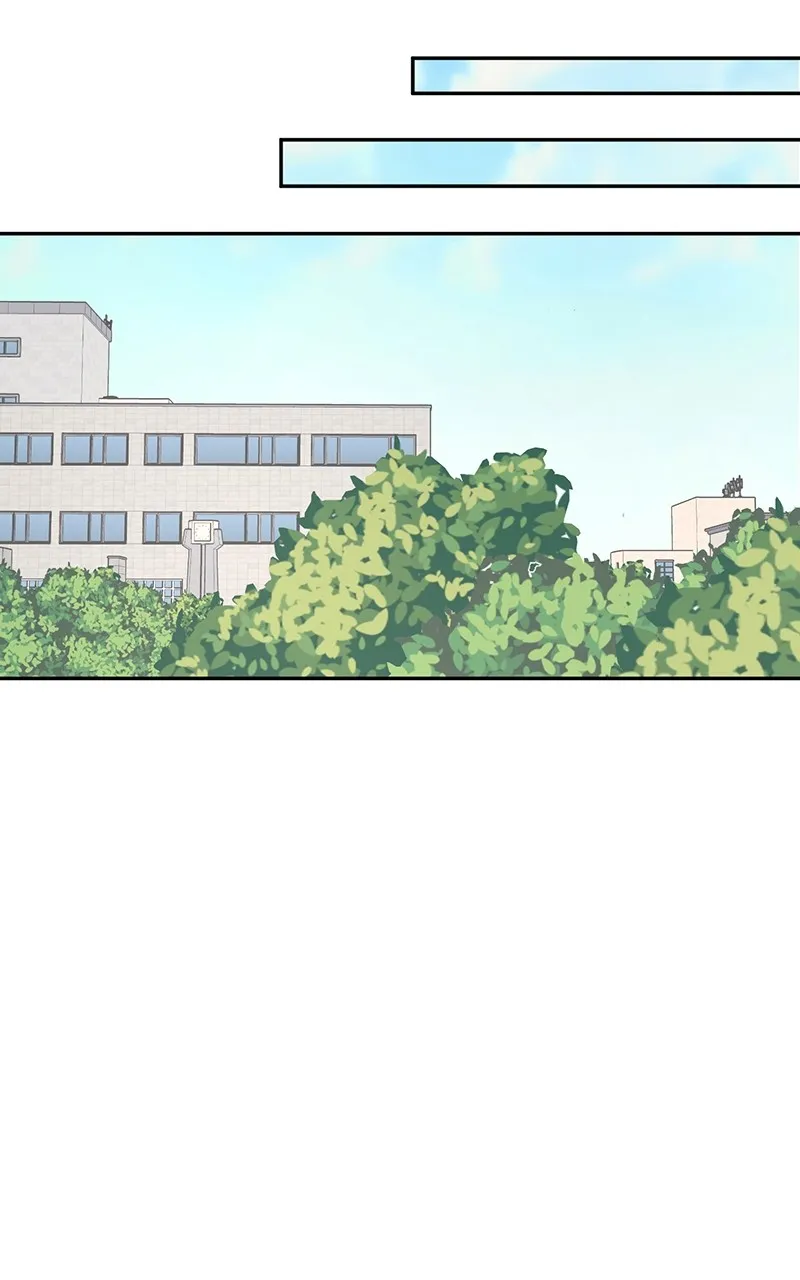 Love or Attraction Chapter 24 page 95 - 
