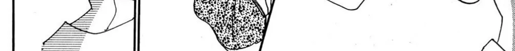 Love's Miracle Chapter 6 page 34 - 
