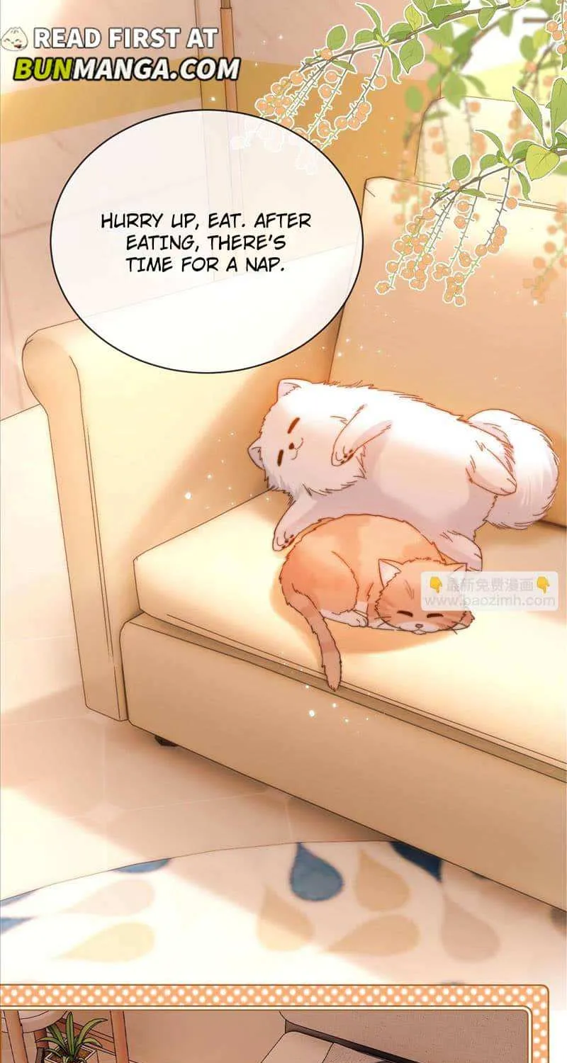 Lovely allergen Chapter 38 page 33 - 