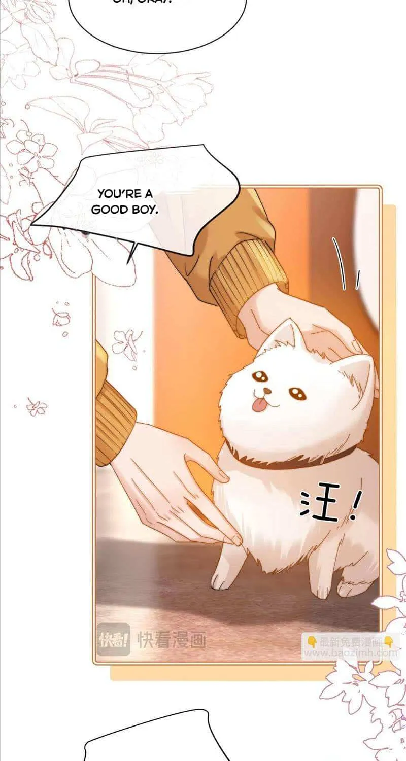 Lovely allergen Chapter 49 page 15 - 