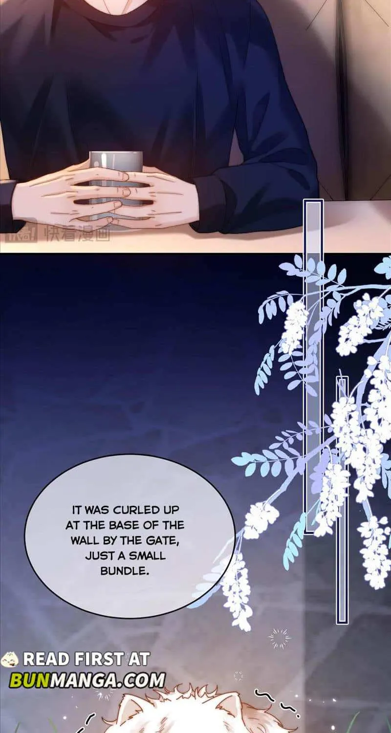 Lovely allergen Chapter 52 page 2 - 