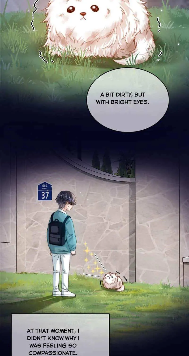 Lovely allergen Chapter 52 page 3 - 