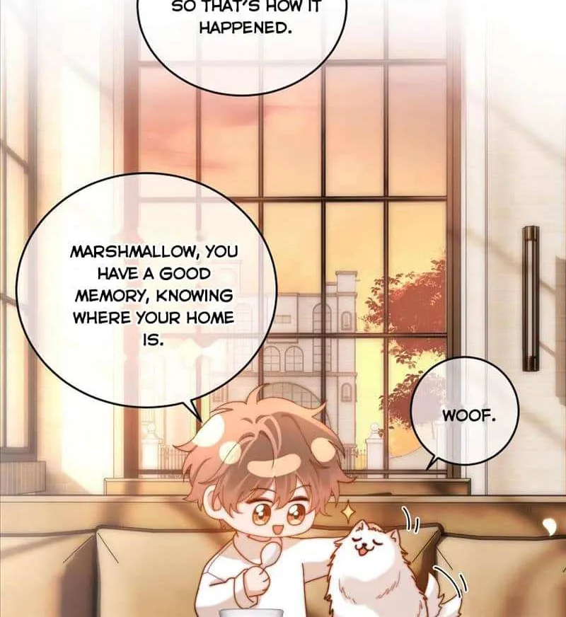 Lovely allergen Chapter 52 page 8 - 