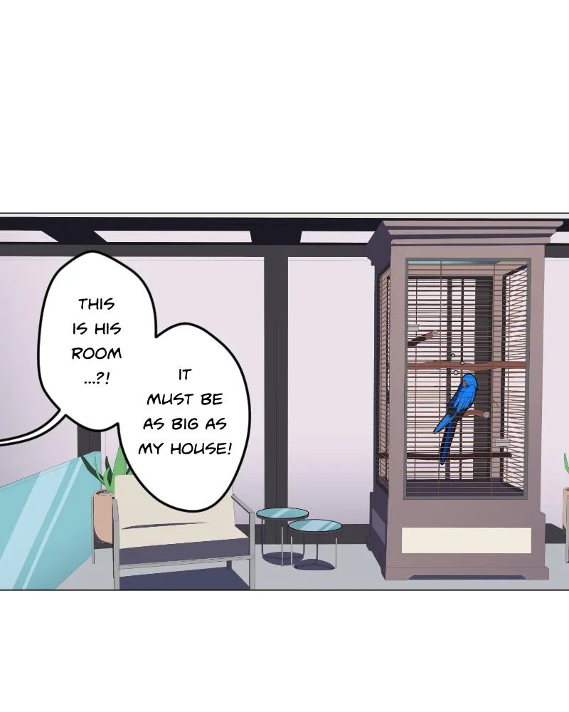 LUFF Chapter 24 page 1 - 